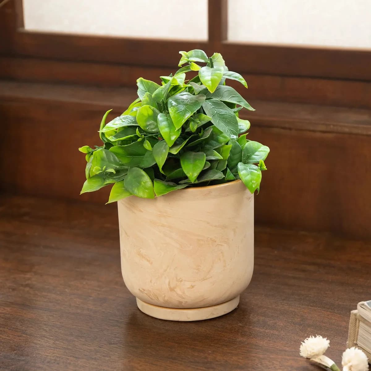 Amber Love Ceramic Planter - straight