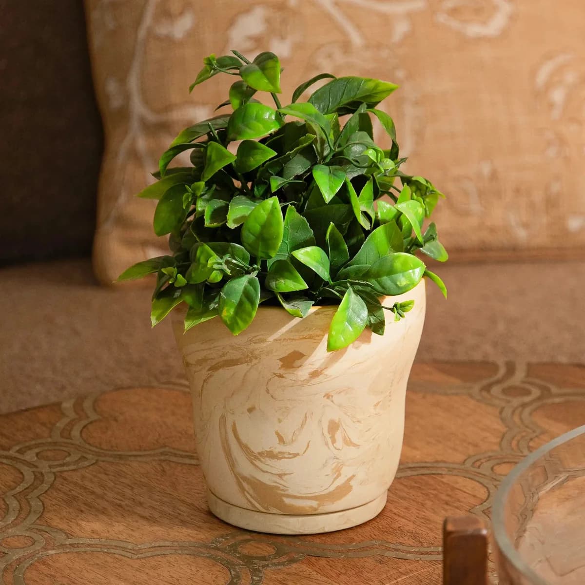 Amber Love Ceramic Planter - curved